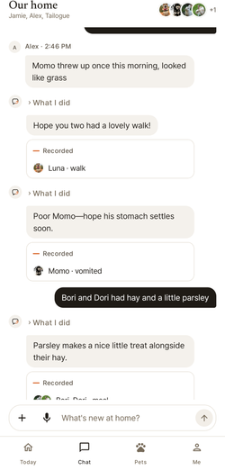 The family chat: Alex says Momo threw up; Jamie says the rabbits had hay; each becomes a record