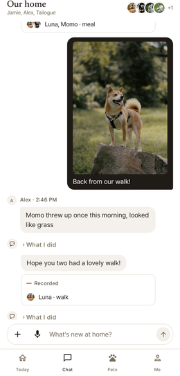 The family chat: a walk photo, and the walk it was recorded as, with Luna’s face
