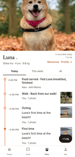 Luna’s thread: breakfast, a walk with its photo, the beach, each saying who added it