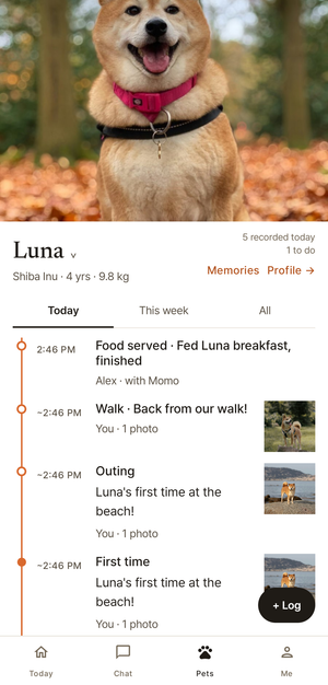 Luna’s thread: her photo, and today’s entries in order down a persimmon line