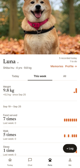 Luna’s week: weight 9.8 kg, +0.2 since the last weigh-in; food and walks by day