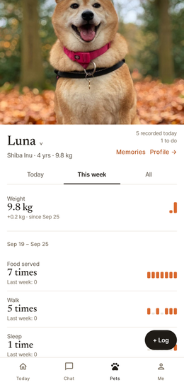Luna’s week: her weight against the last weigh-in, meals and walks counted by day