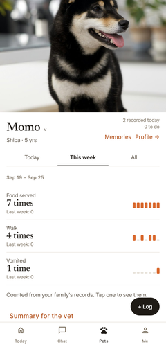 Momo’s week, with the vomiting counted and a way to the summary for the vet